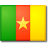 Le drapeau de Cameroun