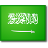 la bandiera di Arabia Saudita
